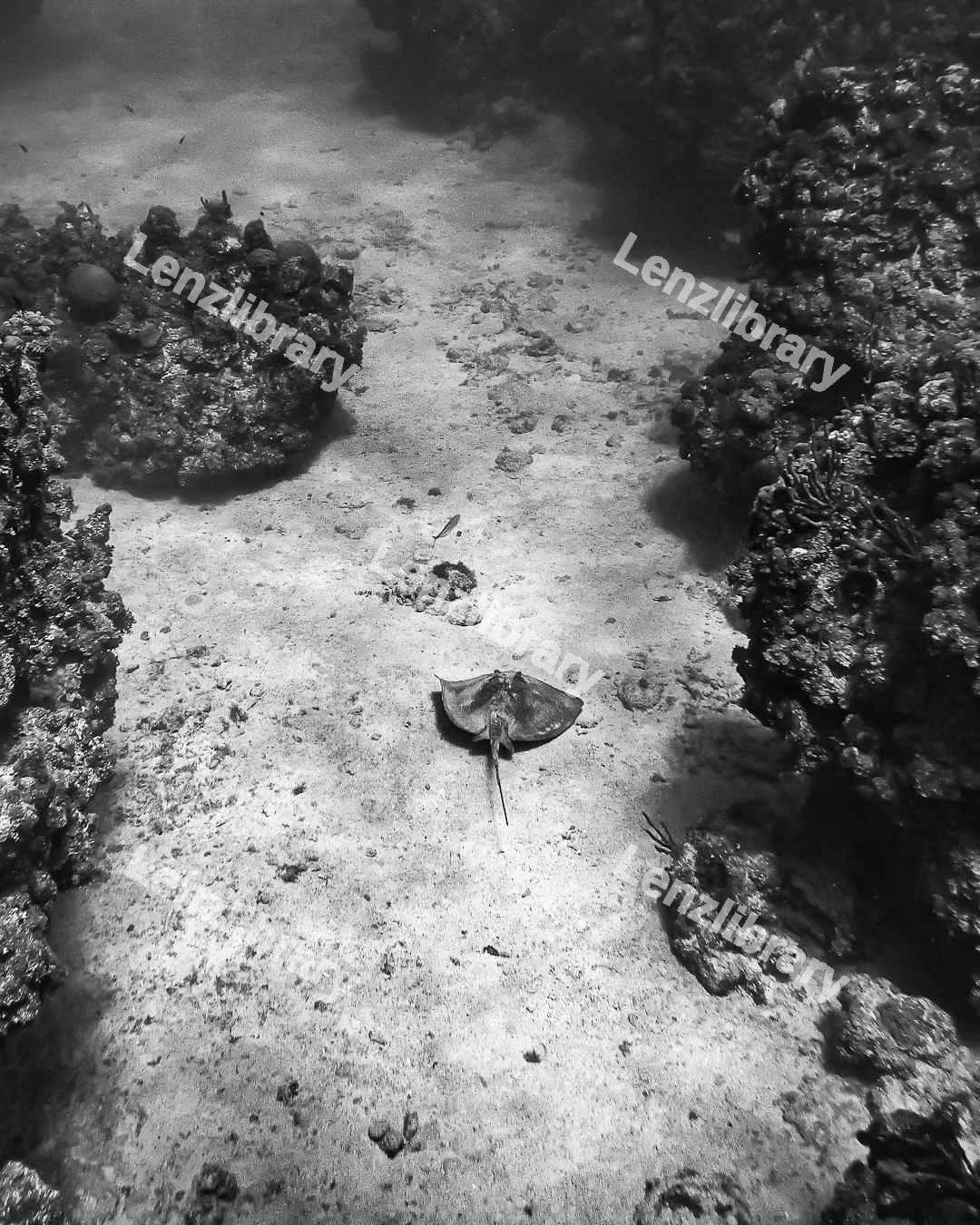 Bottom of the sea